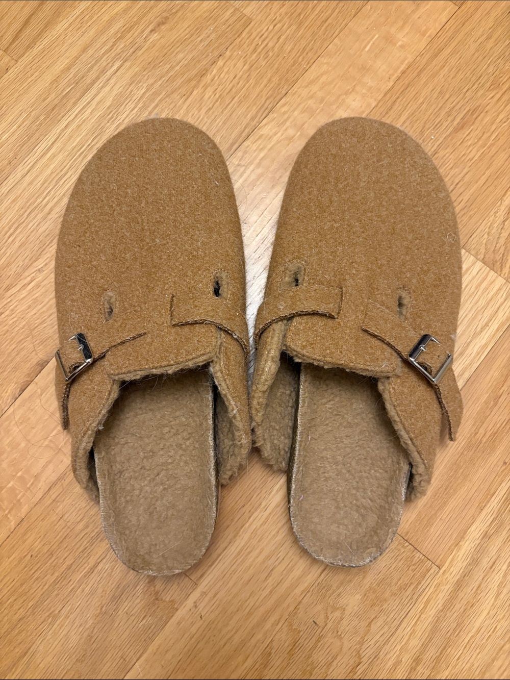 Gap Cozy Brown Slip-On Clog with Buckle